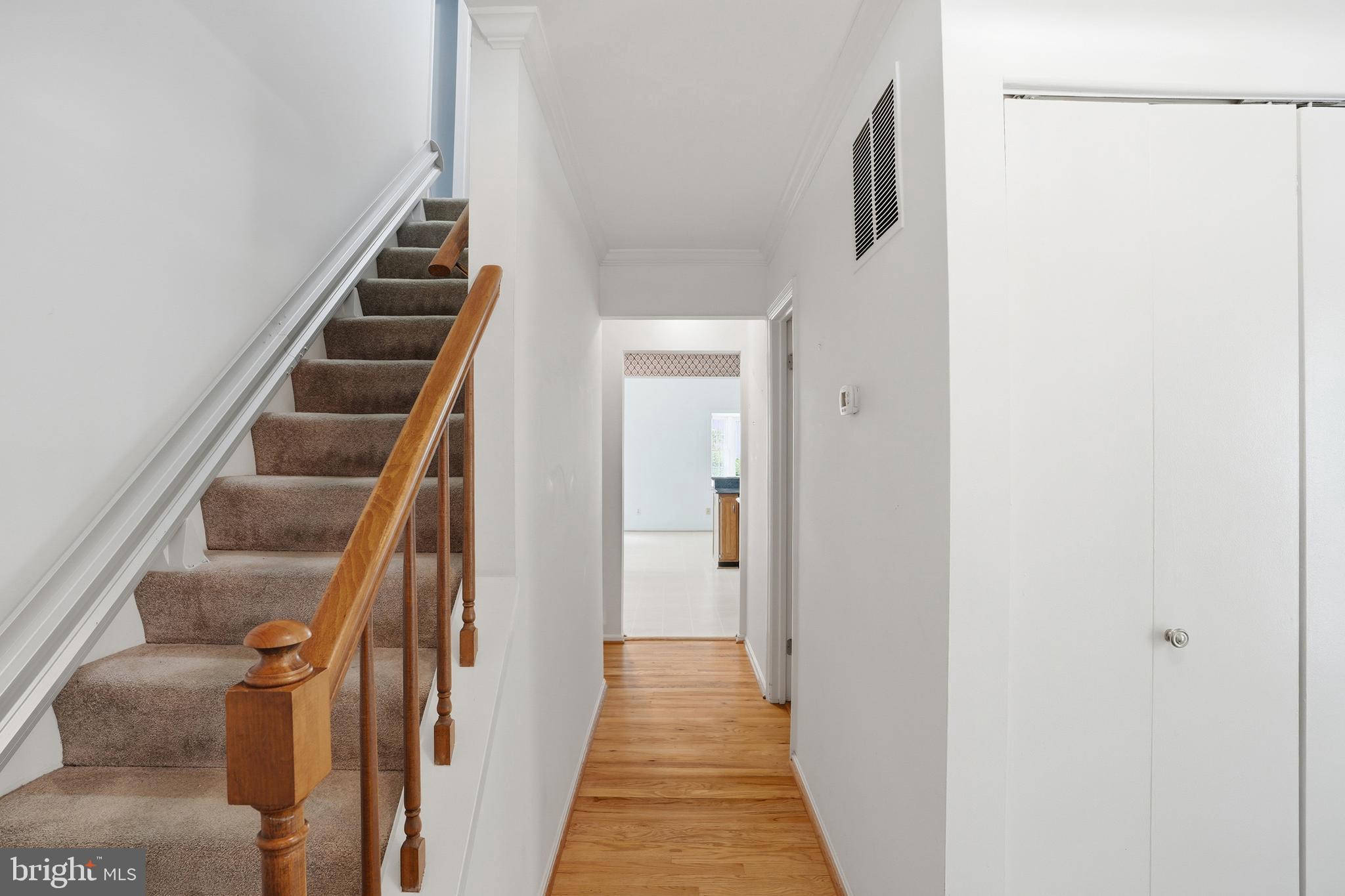 3901 Colonel Ellis Avenue Alexandria, VA 22304 - Photo 4 of 53