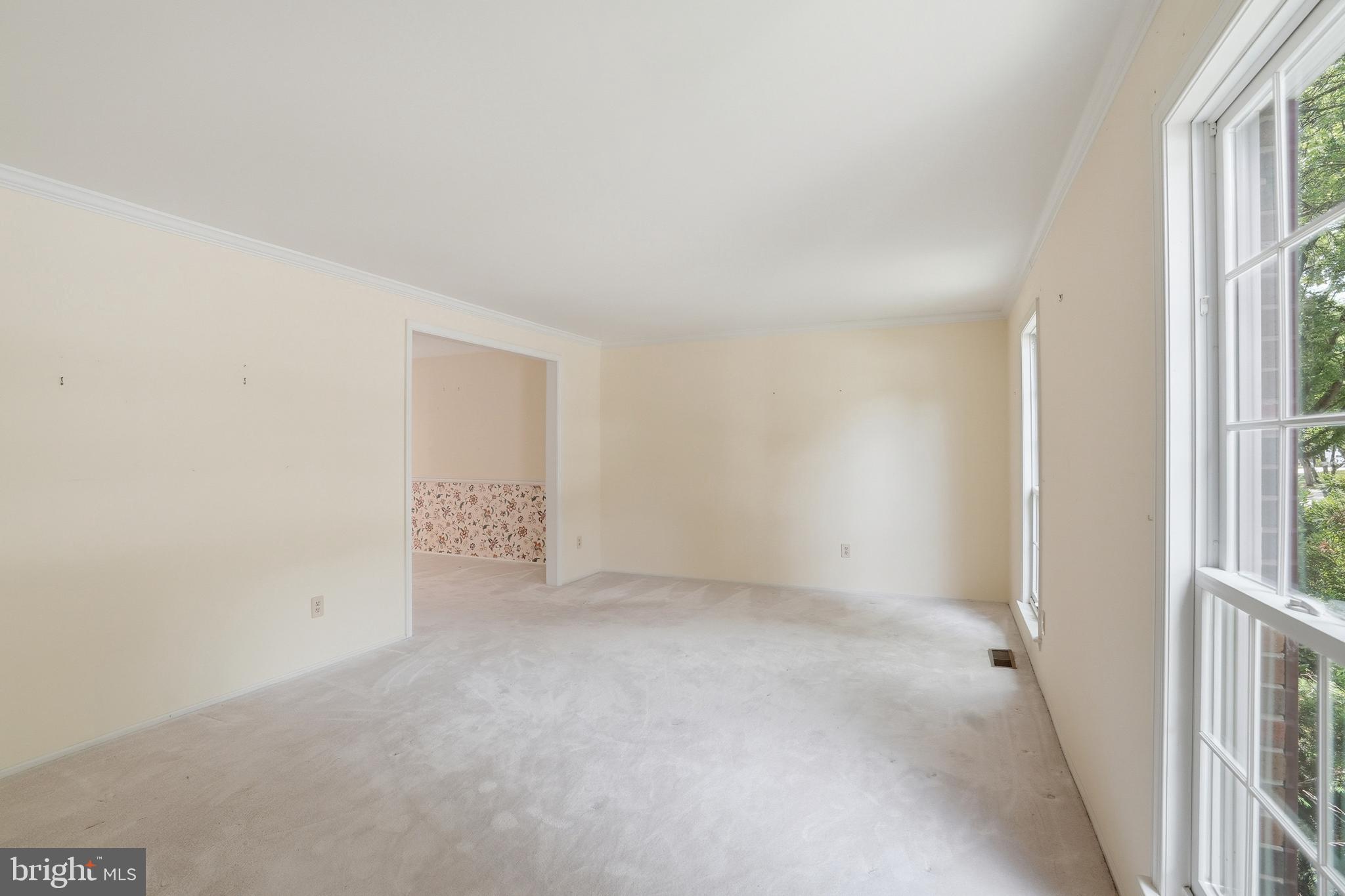 3901 Colonel Ellis Avenue Alexandria, VA 22304 - Photo 5 of 53