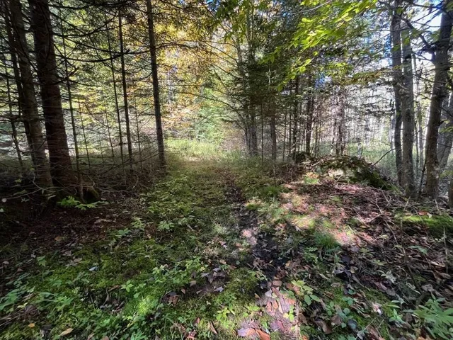 $899,900 | North Fire Lane Road, White Lake, WI 54491