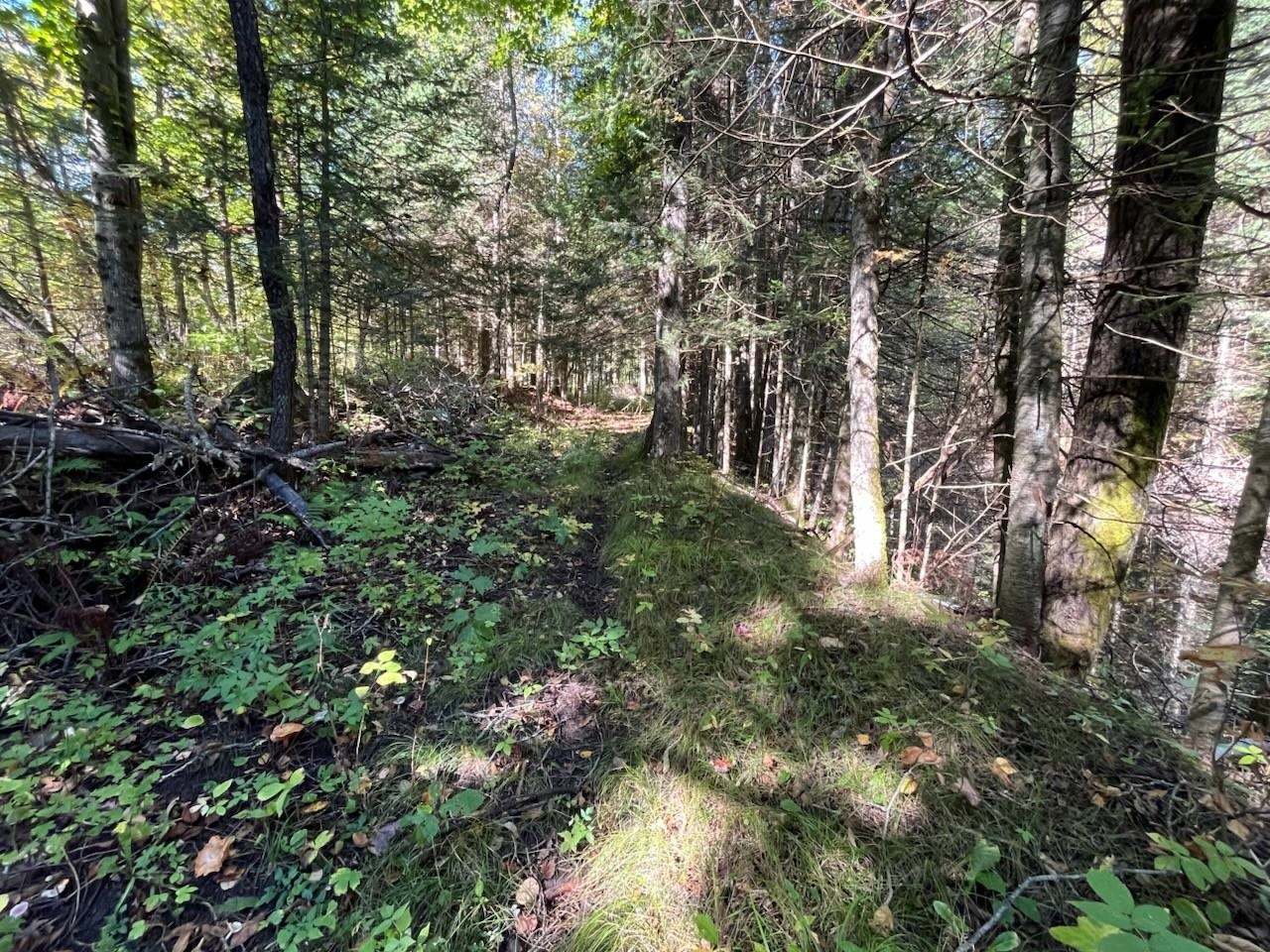 North Fire Lane Road White Lake, WI 54491 - Photo 13 of 61