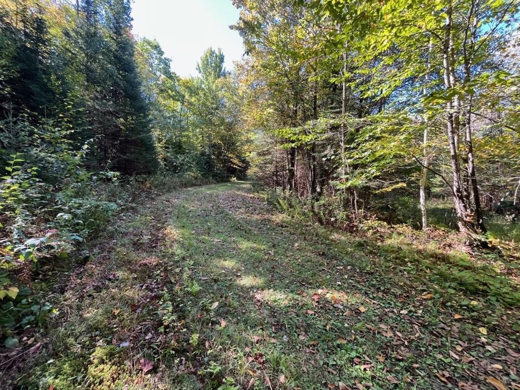 North Fire Lane Road White Lake, WI 54491 - Photo 16 of 61