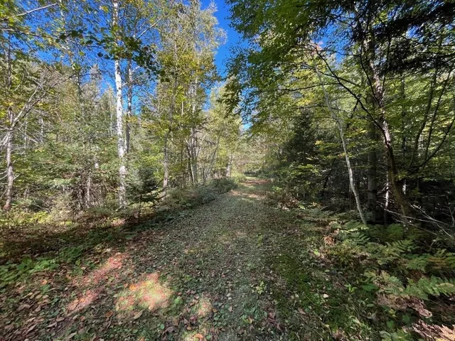 $899,900 | North Fire Lane Road, White Lake, WI 54491