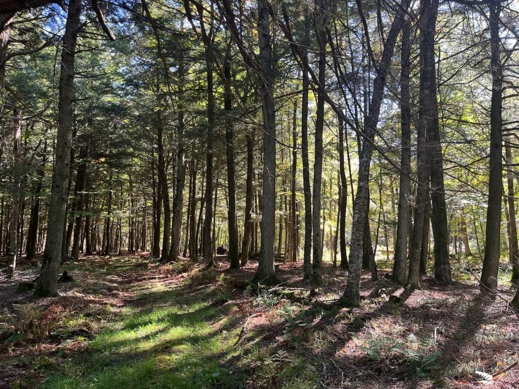 North Fire Lane Road White Lake, WI 54491 - Photo 19 of 61