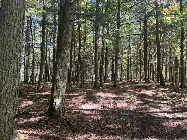 $899,900 | North Fire Lane Road, White Lake, WI 54491