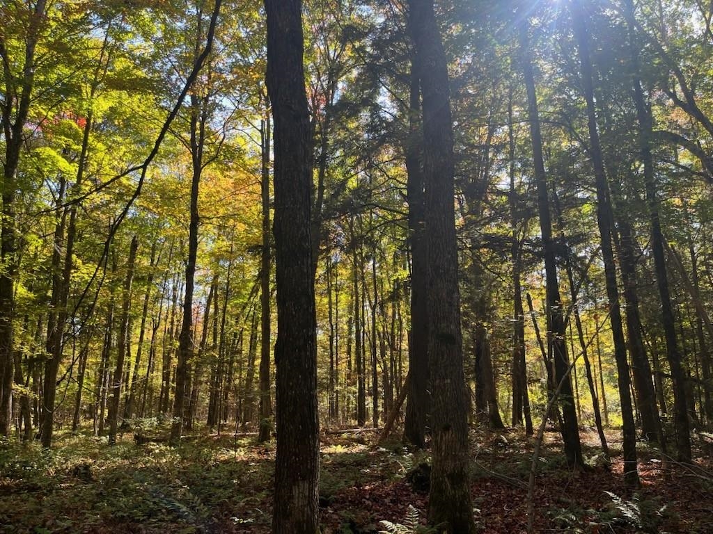 North Fire Lane Road White Lake, WI 54491 - Photo 23 of 61