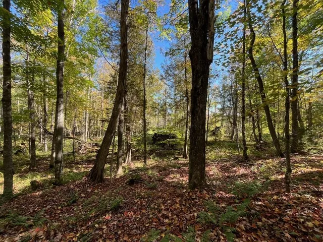 $899,900 | North Fire Lane Road, White Lake, WI 54491