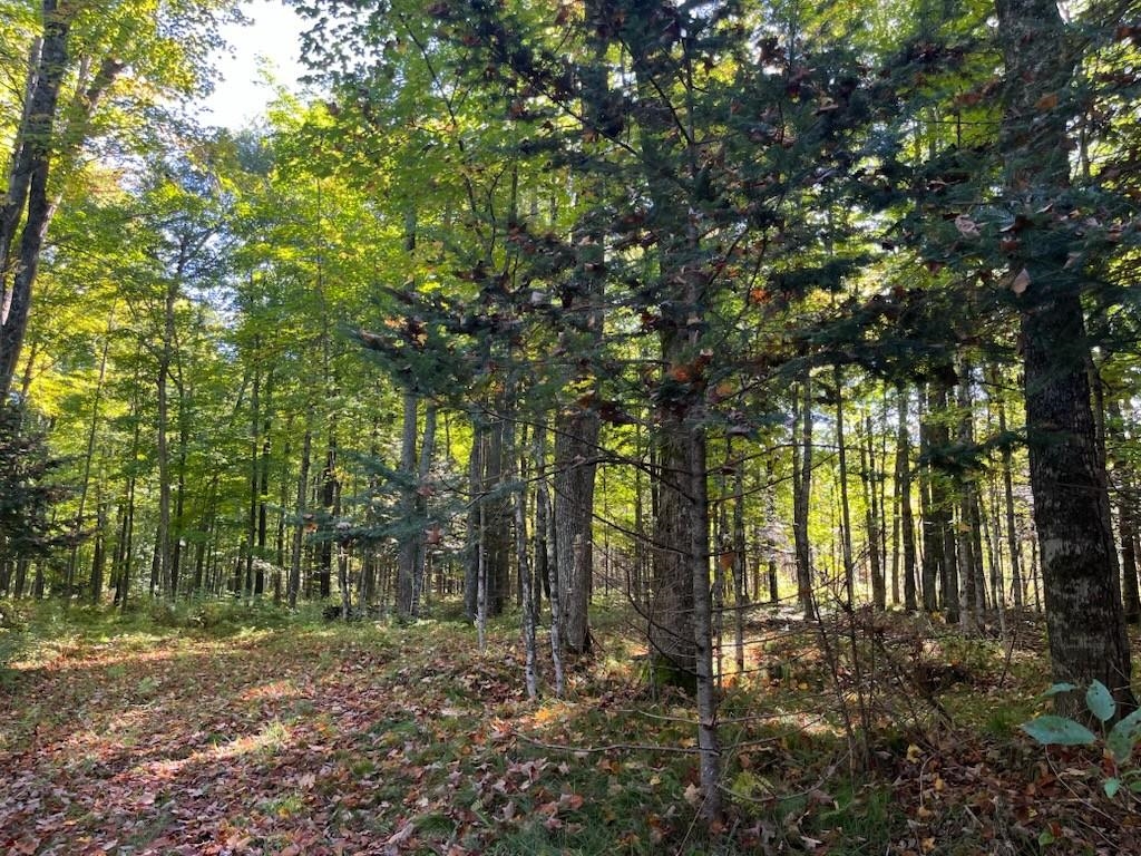 North Fire Lane Road White Lake, WI 54491 - Photo 27 of 61