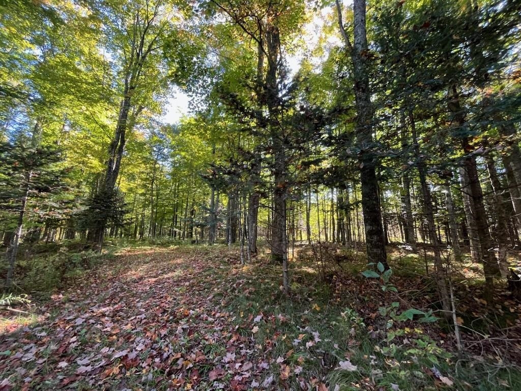 North Fire Lane Road White Lake, WI 54491 - Photo 28 of 61