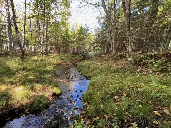 $899,900 | North Fire Lane Road, White Lake, WI 54491