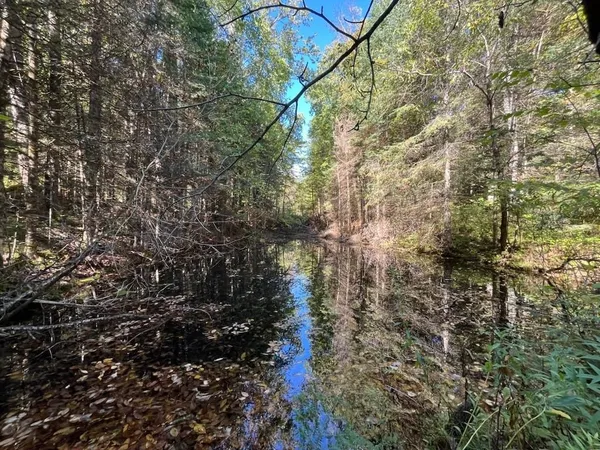 $899,900 | North Fire Lane Road, White Lake, WI 54491