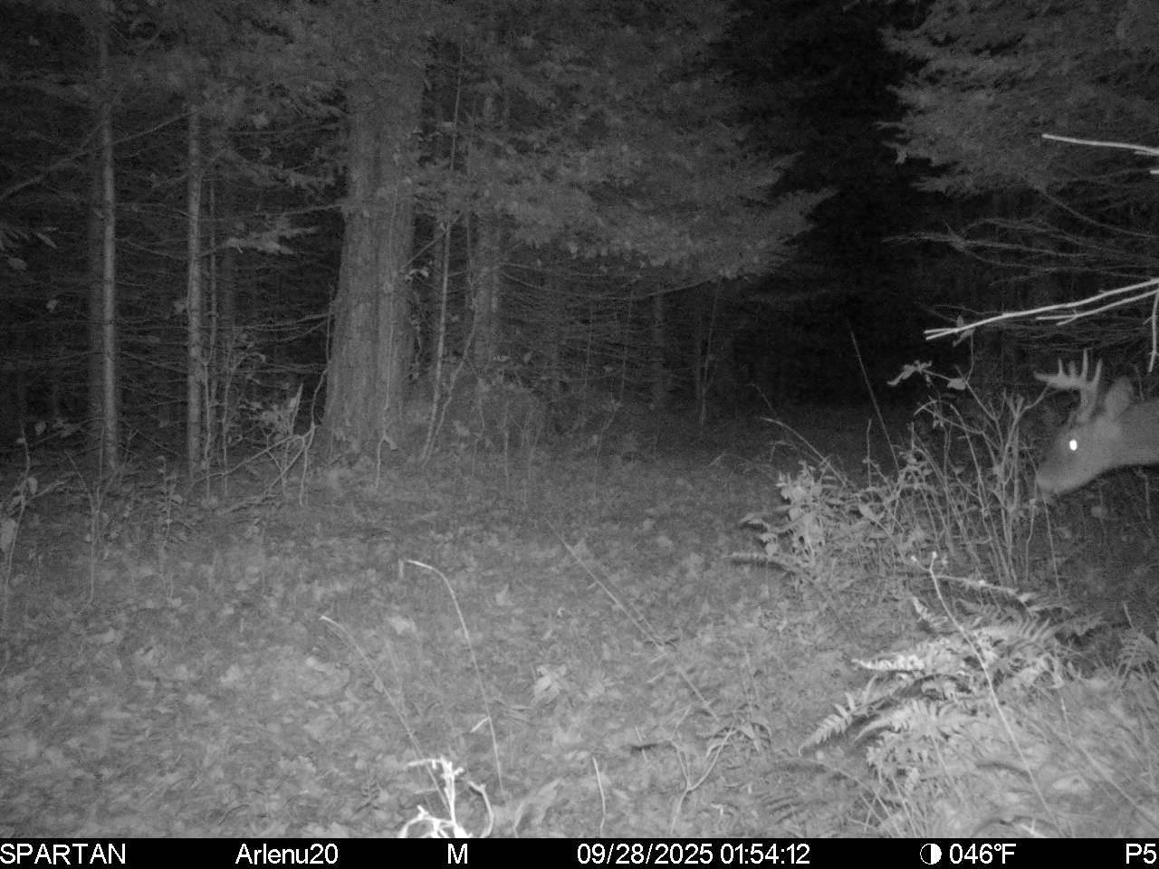 North Fire Lane Road White Lake, WI 54491 - Photo 32 of 61