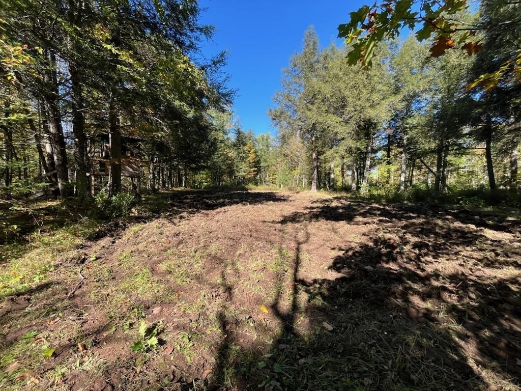 North Fire Lane Road White Lake, WI 54491 - Photo 33 of 61