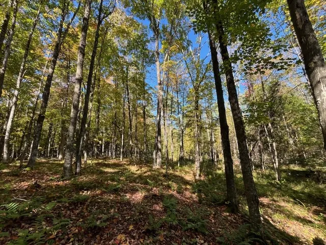 $899,900 | North Fire Lane Road, White Lake, WI 54491