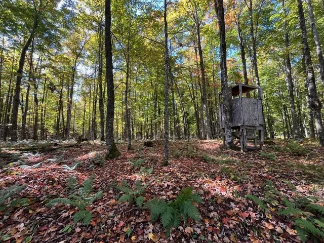 $899,900 | North Fire Lane Road, White Lake, WI 54491