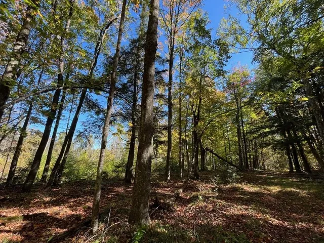 $899,900 | North Fire Lane Road, White Lake, WI 54491