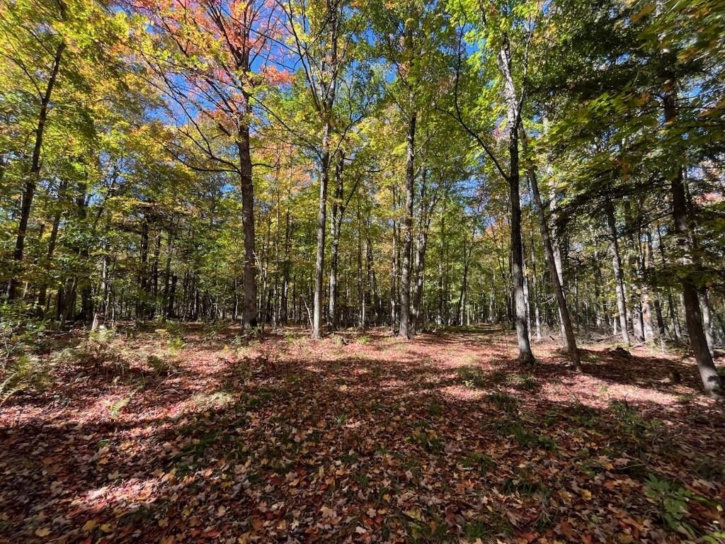 North Fire Lane Road White Lake, WI 54491 - Photo 38 of 61