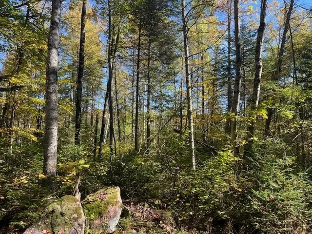 $899,900 | North Fire Lane Road, White Lake, WI 54491