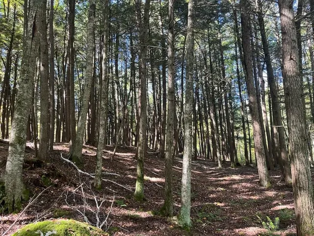 $899,900 | North Fire Lane Road, White Lake, WI 54491