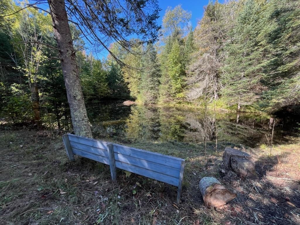 North Fire Lane Road White Lake, WI 54491 - Photo 4 of 61