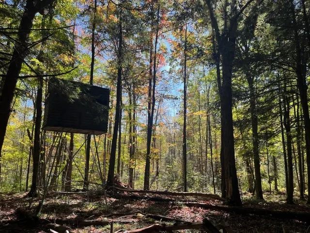 $899,900 | North Fire Lane Road, White Lake, WI 54491