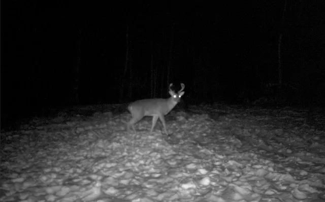 $899,900 | North Fire Lane Road, White Lake, WI 54491