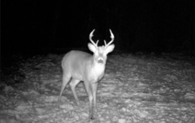 $899,900 | North Fire Lane Road, White Lake, WI 54491