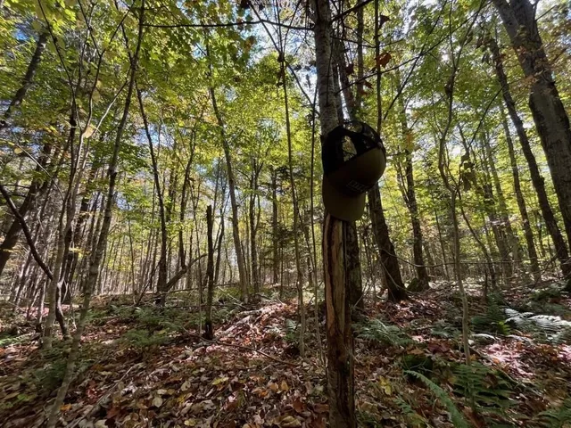 $899,900 | North Fire Lane Road, White Lake, WI 54491