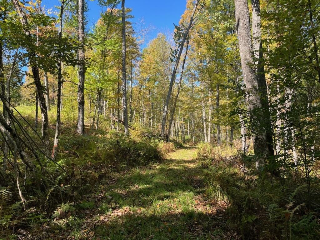 North Fire Lane Road White Lake, WI 54491 - Photo 46 of 61