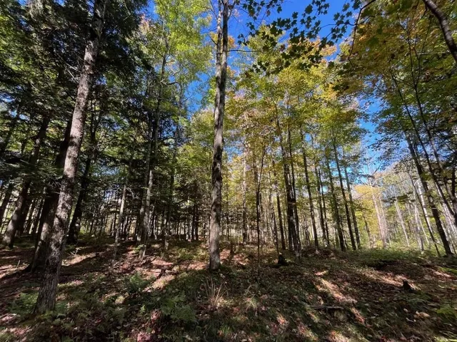 $899,900 | North Fire Lane Road, White Lake, WI 54491