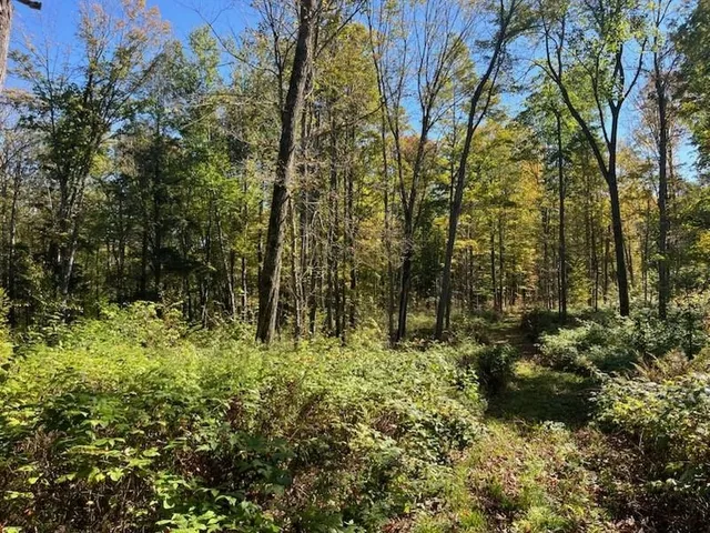 $899,900 | North Fire Lane Road, White Lake, WI 54491