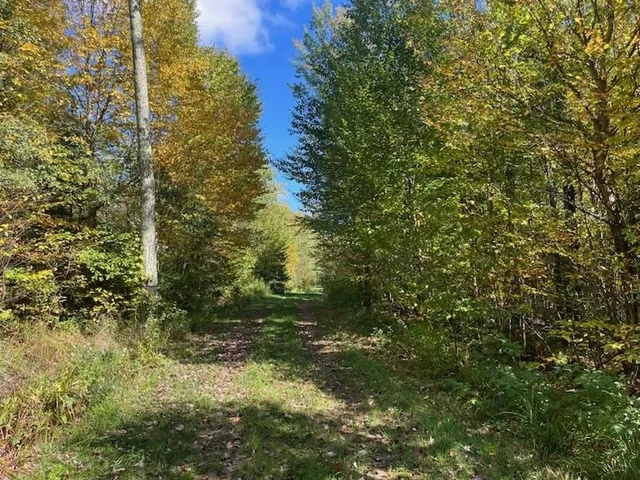$899,900 | North Fire Lane Road, White Lake, WI 54491