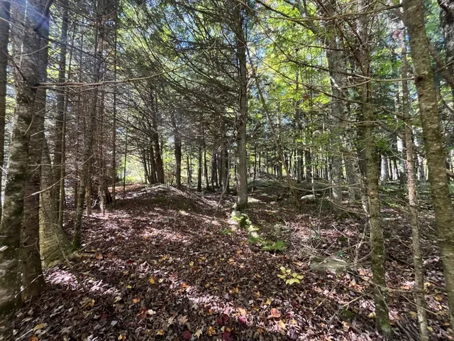 $899,900 | North Fire Lane Road, White Lake, WI 54491