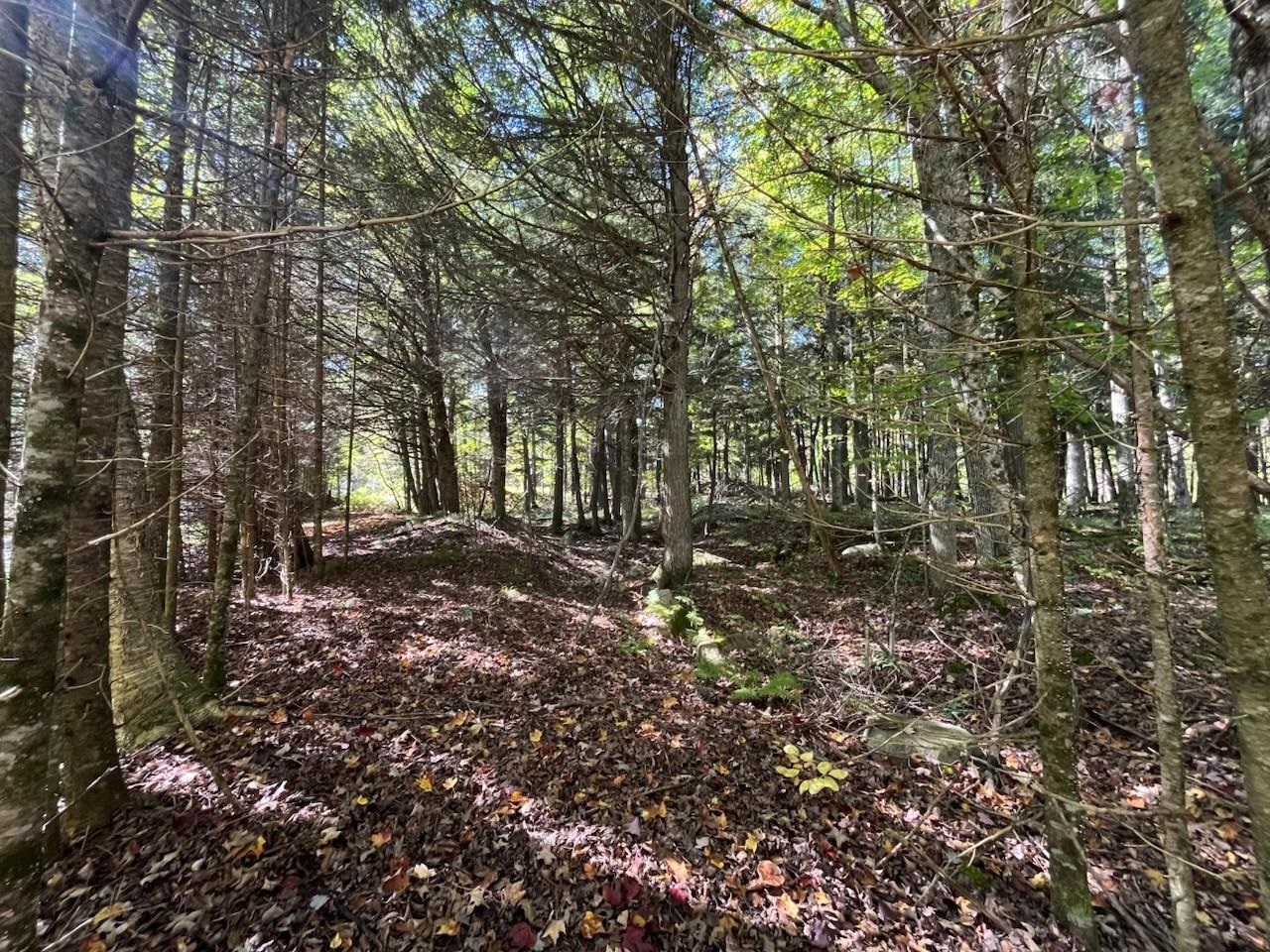 North Fire Lane Road White Lake, WI 54491 - Photo 50 of 61