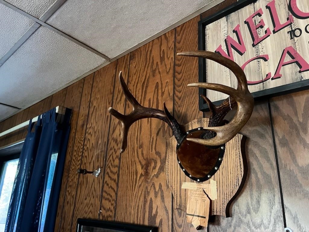 North Fire Lane Road White Lake, WI 54491 - Photo 59 of 61