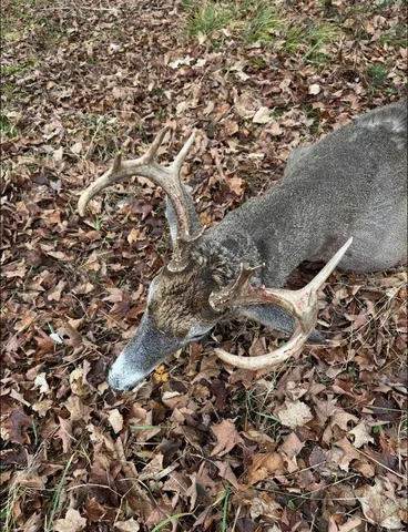 $899,900 | North Fire Lane Road, White Lake, WI 54491