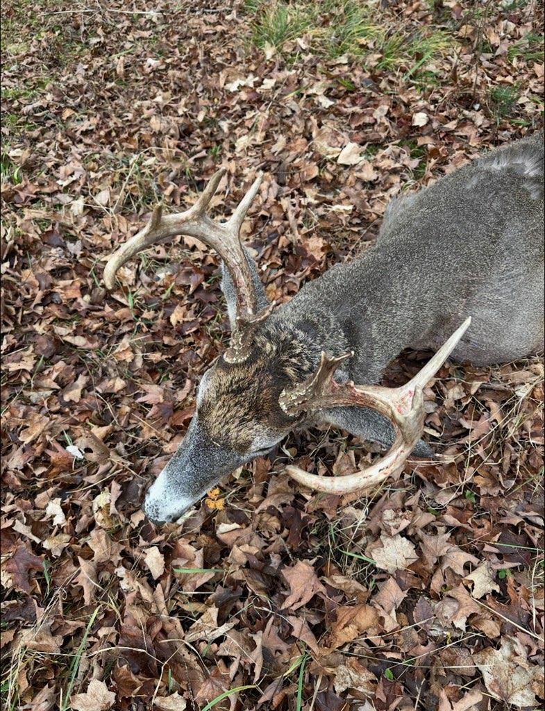 North Fire Lane Road White Lake, WI 54491 - Photo 60 of 61
