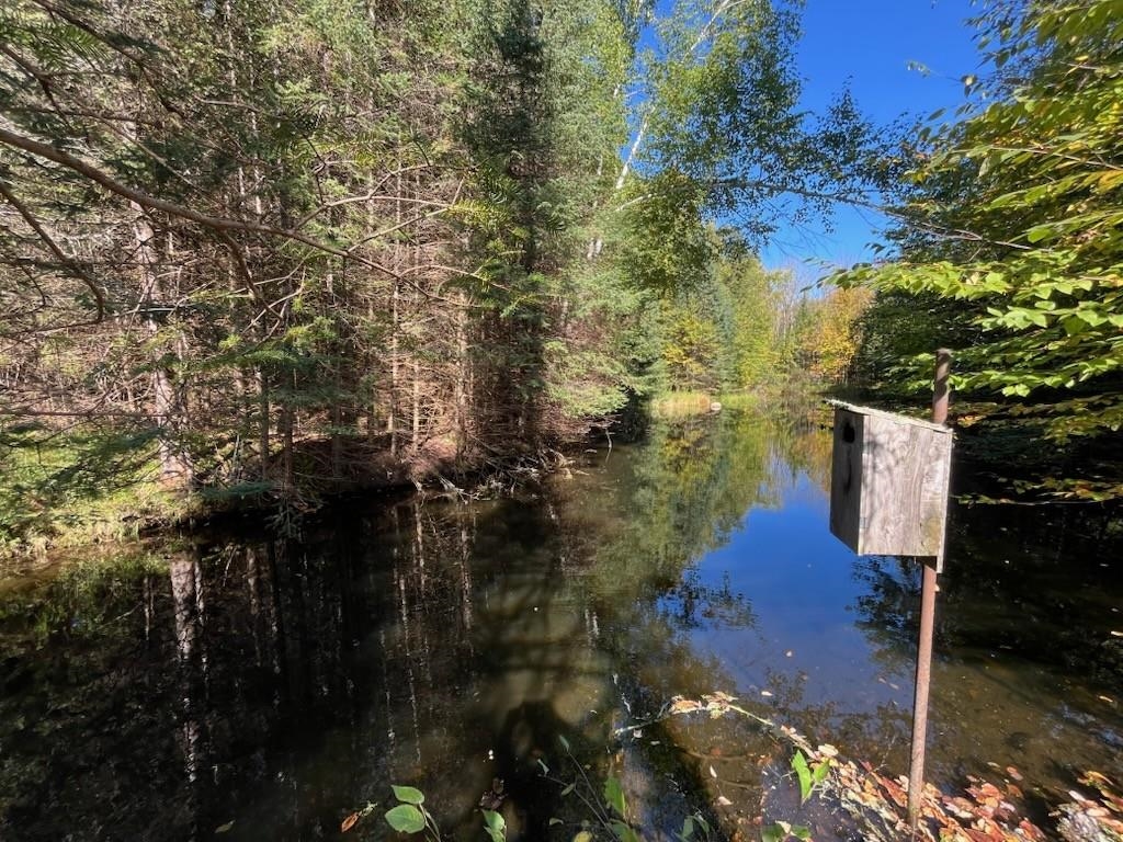 North Fire Lane Road White Lake, WI 54491 - Photo 6 of 61