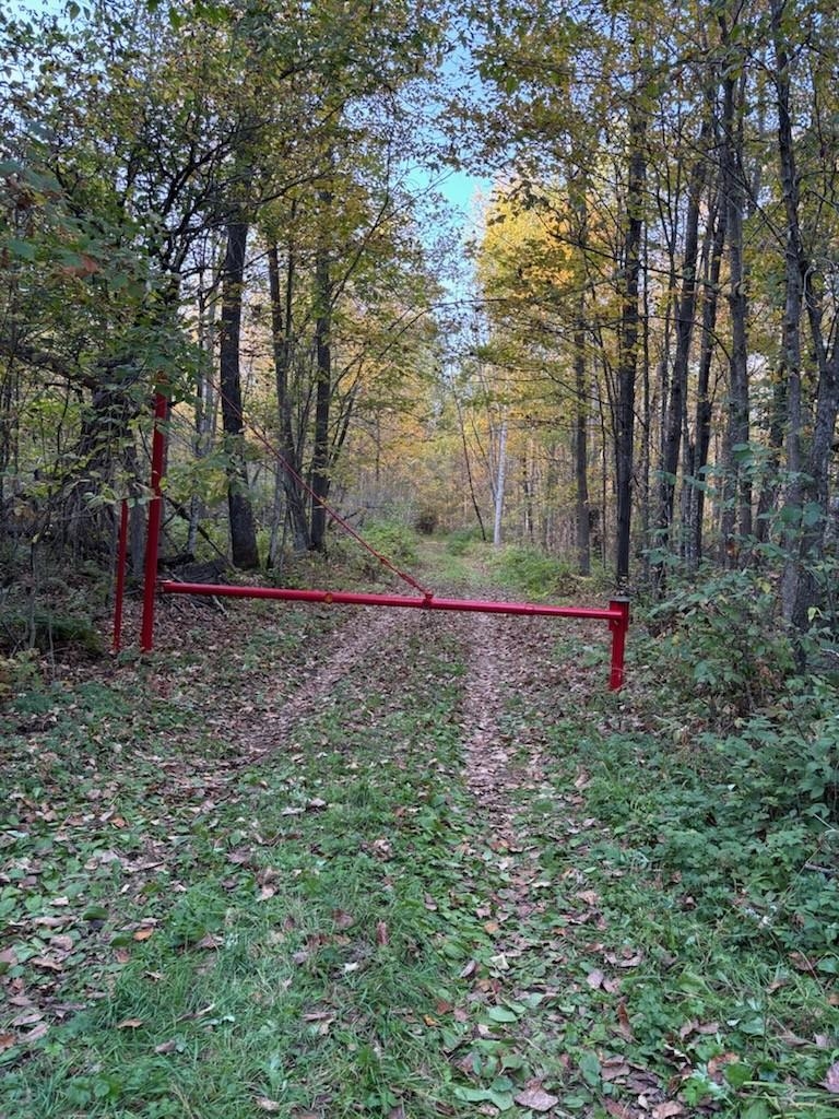 North Fire Lane Road White Lake, WI 54491 - Photo 61 of 61