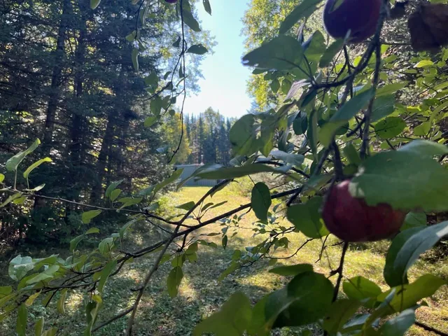 $899,900 | North Fire Lane Road, White Lake, WI 54491