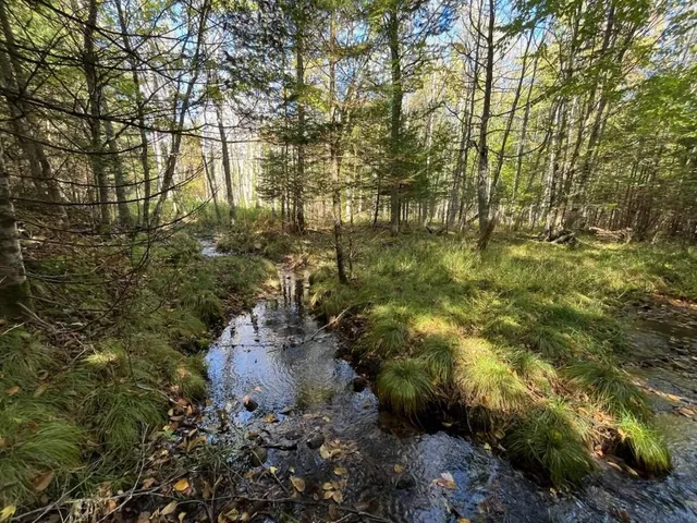 $899,900 | North Fire Lane Road, White Lake, WI 54491