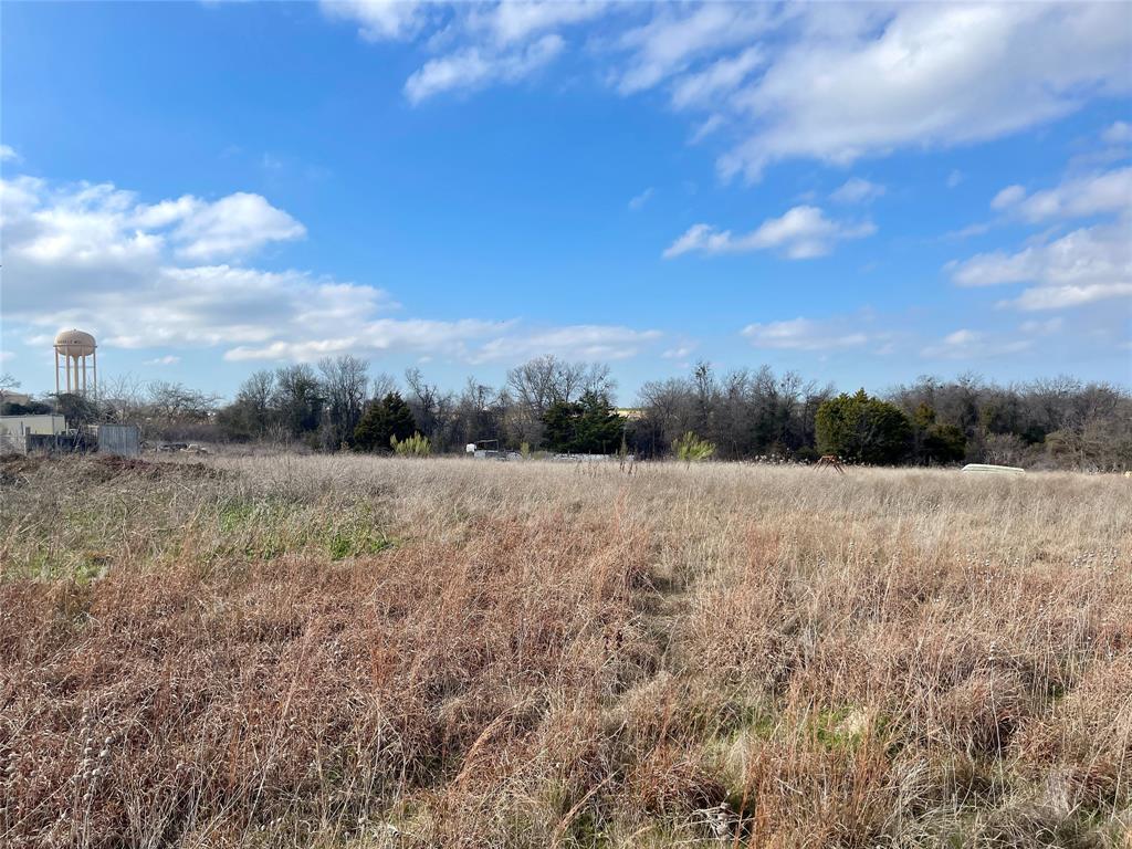 333 Spring Valley Street Hutto, TX 78634 - Photo 14 of 19 a view of an outdoor space and a yard