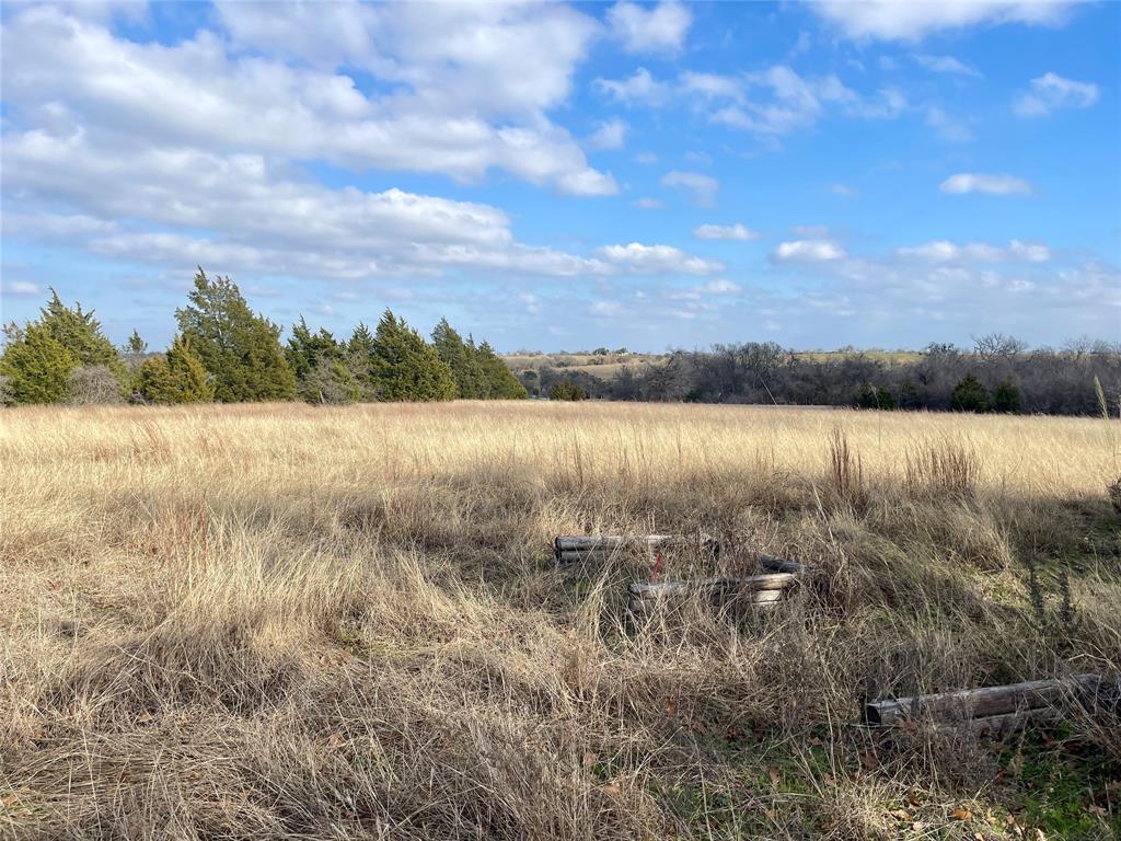 333 Spring Valley Street Hutto, TX 78634 - Photo 8 of 19 a view of lake