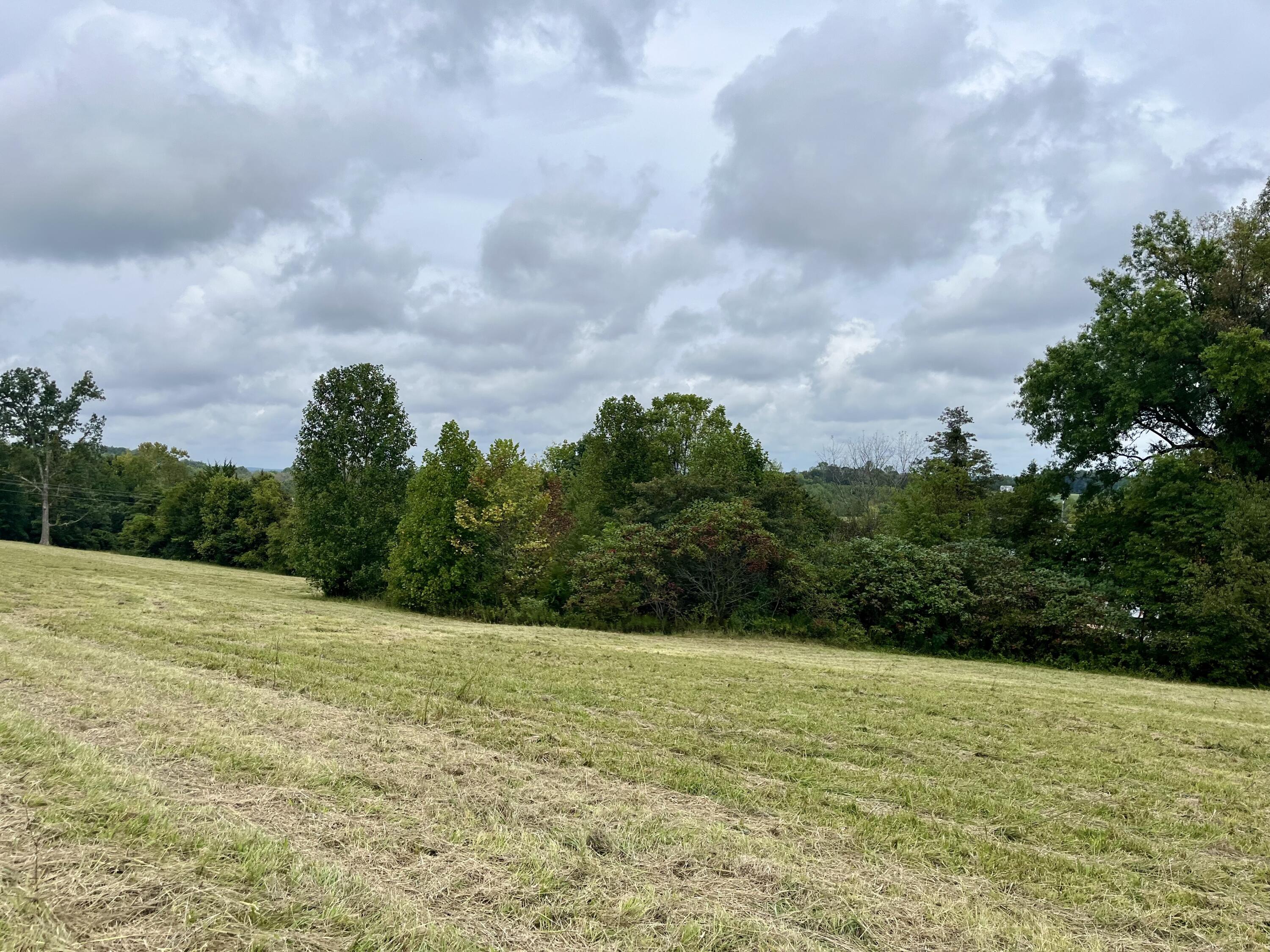 Lot 5 Smith Ridge Road Eubank, KY 42567 - Photo 15 of 24 IMG_4429 2