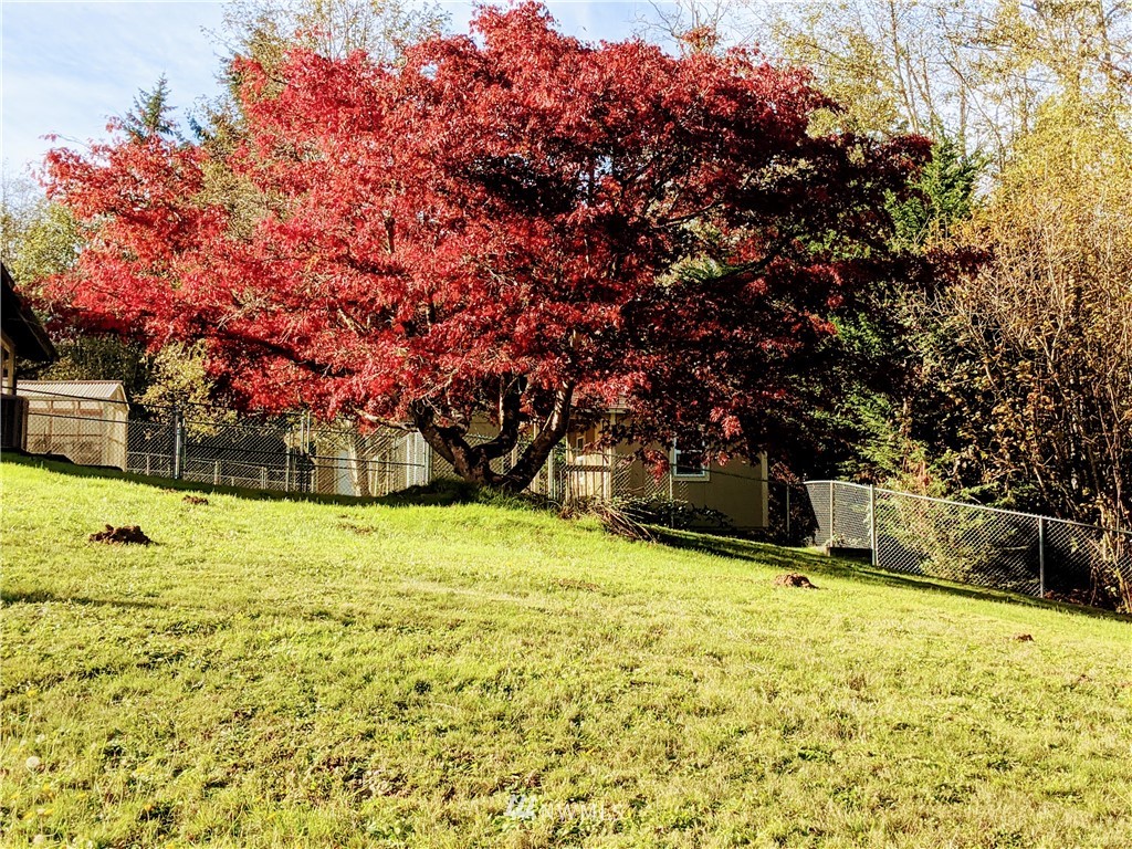 13945 Reeder Road Southwest Tenino, WA 98589 - Photo 26 of 38