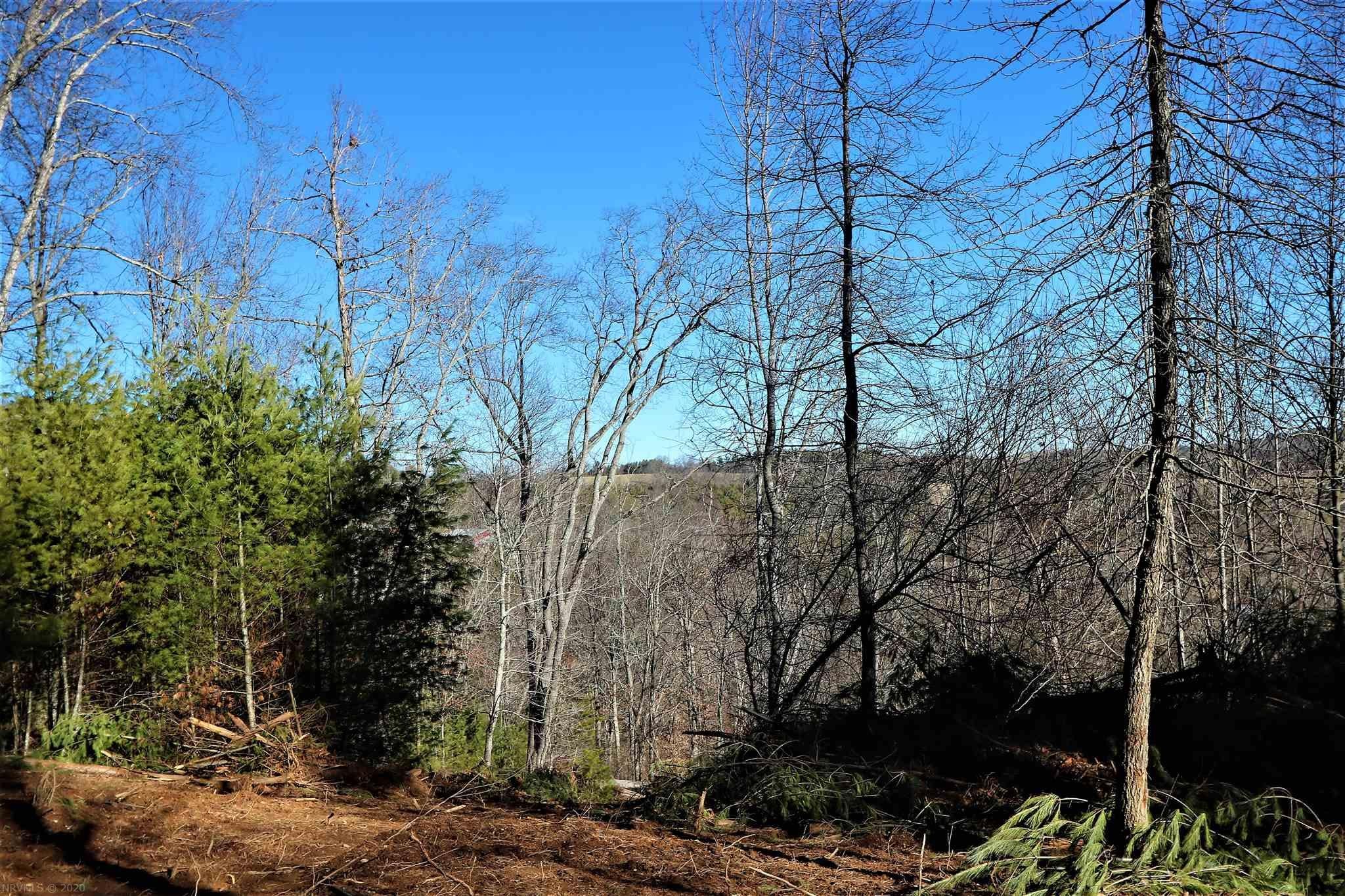 392 Elephant Curve Road Northwest Floyd, VA 24091 - Photo 16 of 27 Gallery Image 16