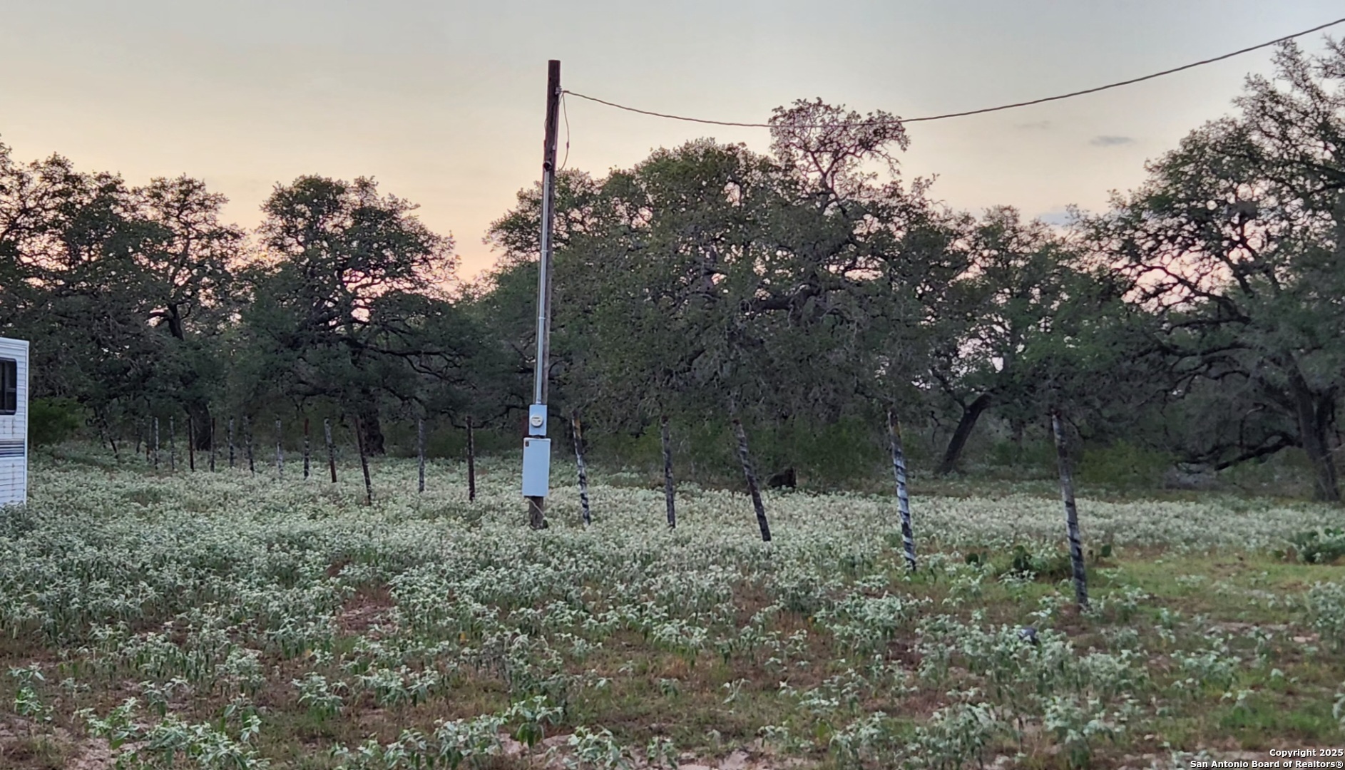0 Hardy Road Elmendorf, TX 78112 - Photo 11 of 27 a view of a outdoor space