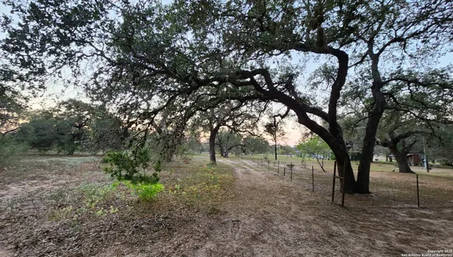 a view of outdoor space and trees