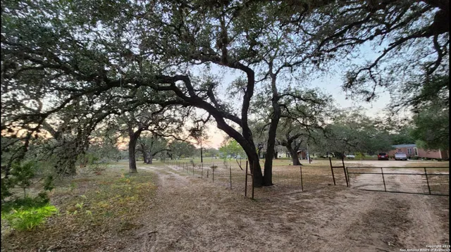 a view of outdoor space with large trees