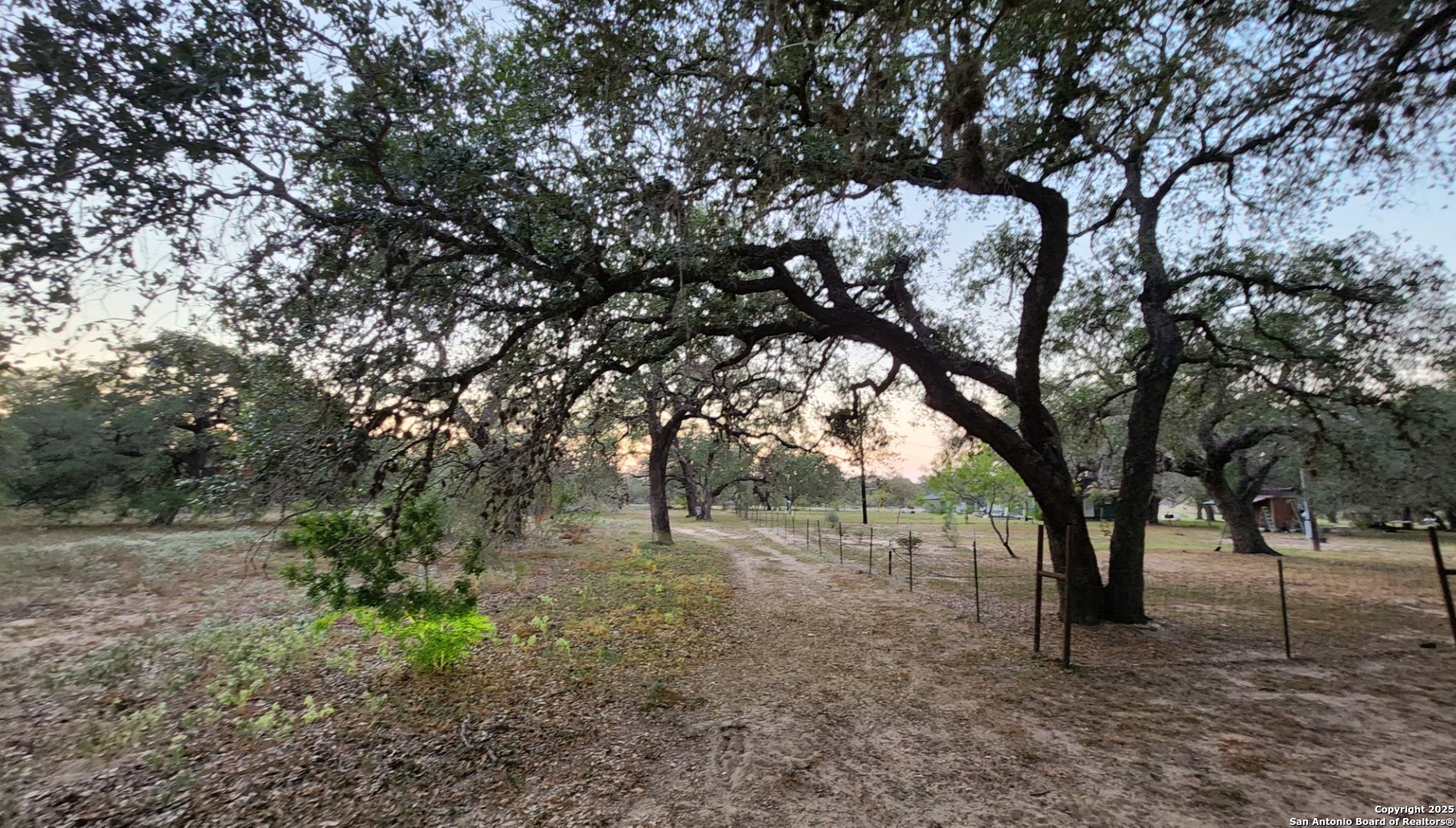 0 Hardy Road Elmendorf, TX 78112 - Photo 15 of 27 a view of a forest with trees in the background