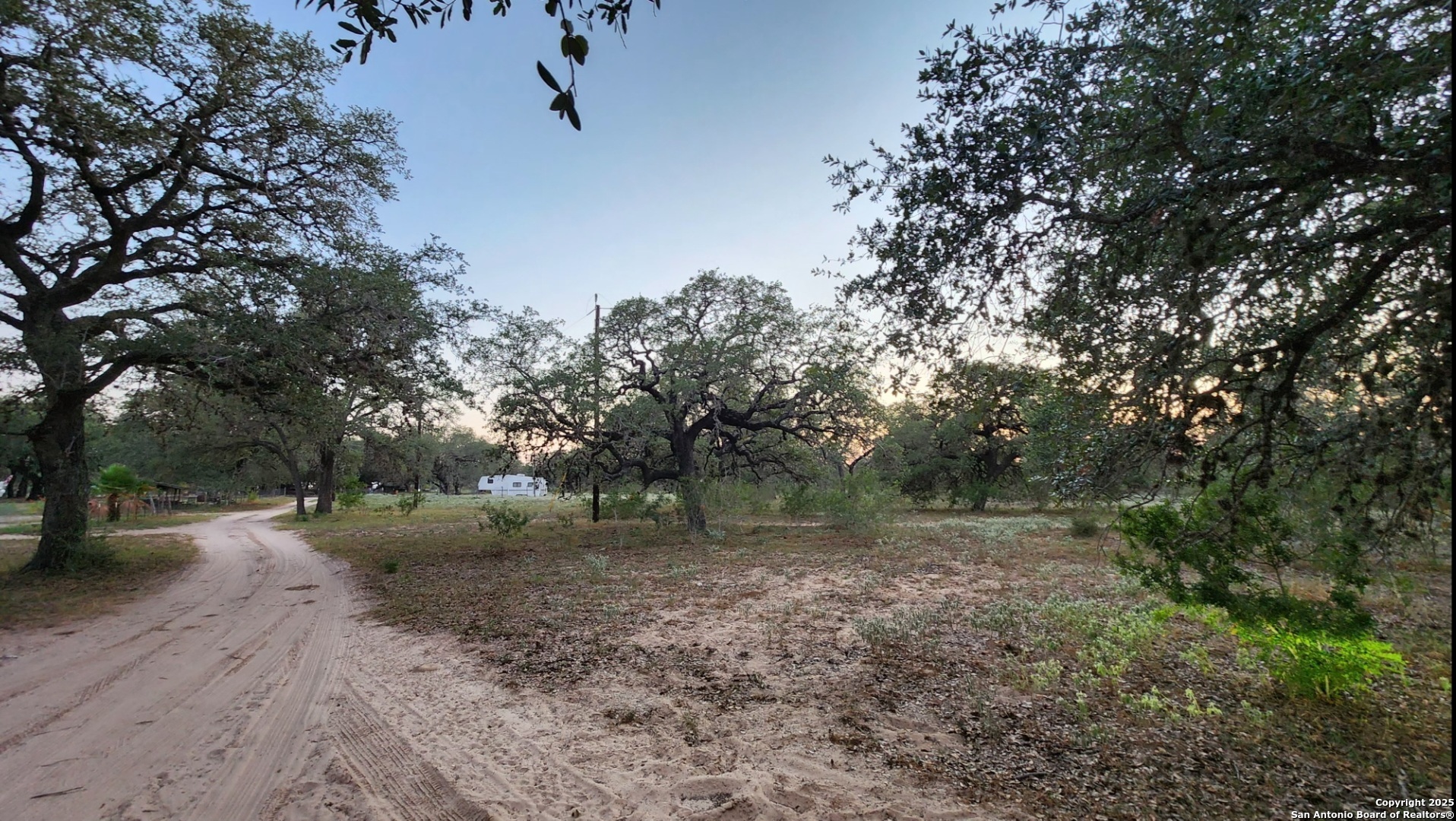 0 Hardy Road Elmendorf, TX 78112 - Photo 17 of 27 a view of a forest with trees
